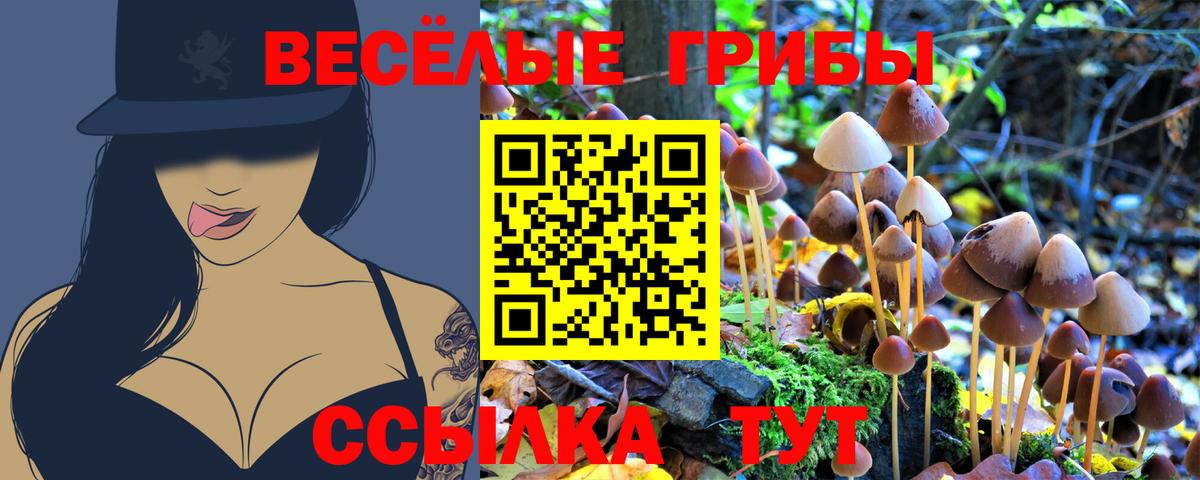 Химки  сколько стоит  Вход с VPN  Псилоцибиновые грибы ЛСД 